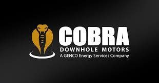 Cobra downhole motors